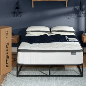 SleepSoul Bliss 800 Pocket Memory Pillow Top