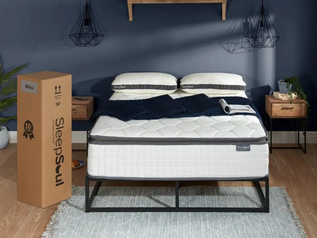 SleepSoul Bliss 800 Pocket Memory Pillow Top