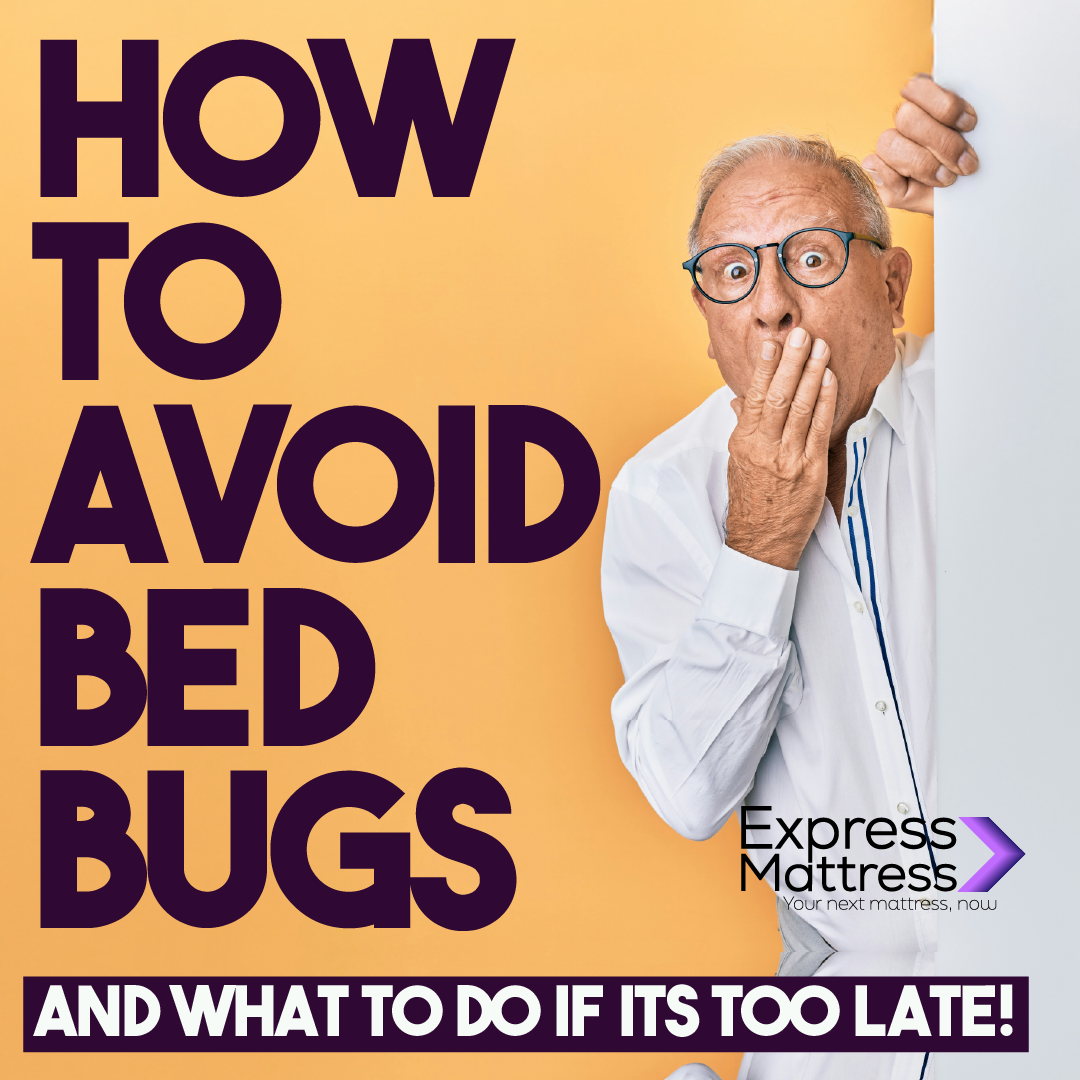 How to avoid bed bugs!